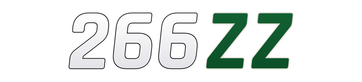 266zz লোগো